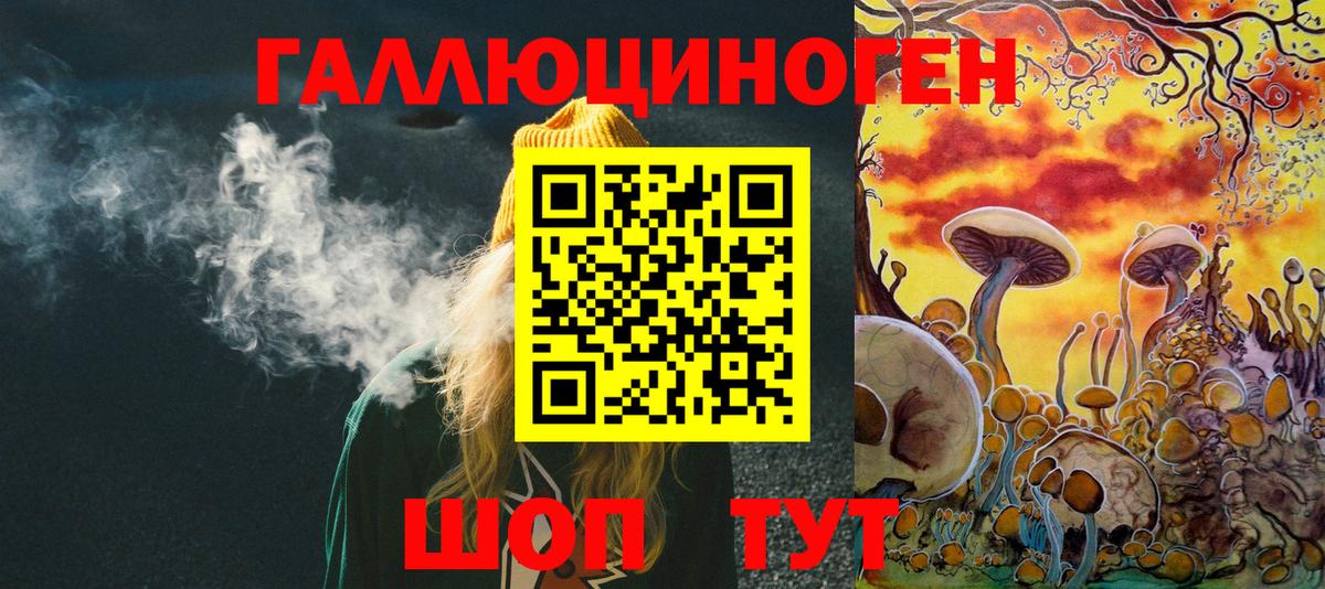 Псилоцибиновые грибы Cubensis Кунгур