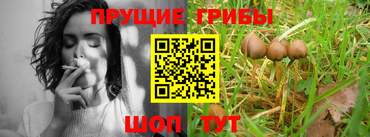 Галлюциногенные грибы Psilocybe  Псилоцибиновые грибы мухоморы  Кунгур  Вход с VPN 
